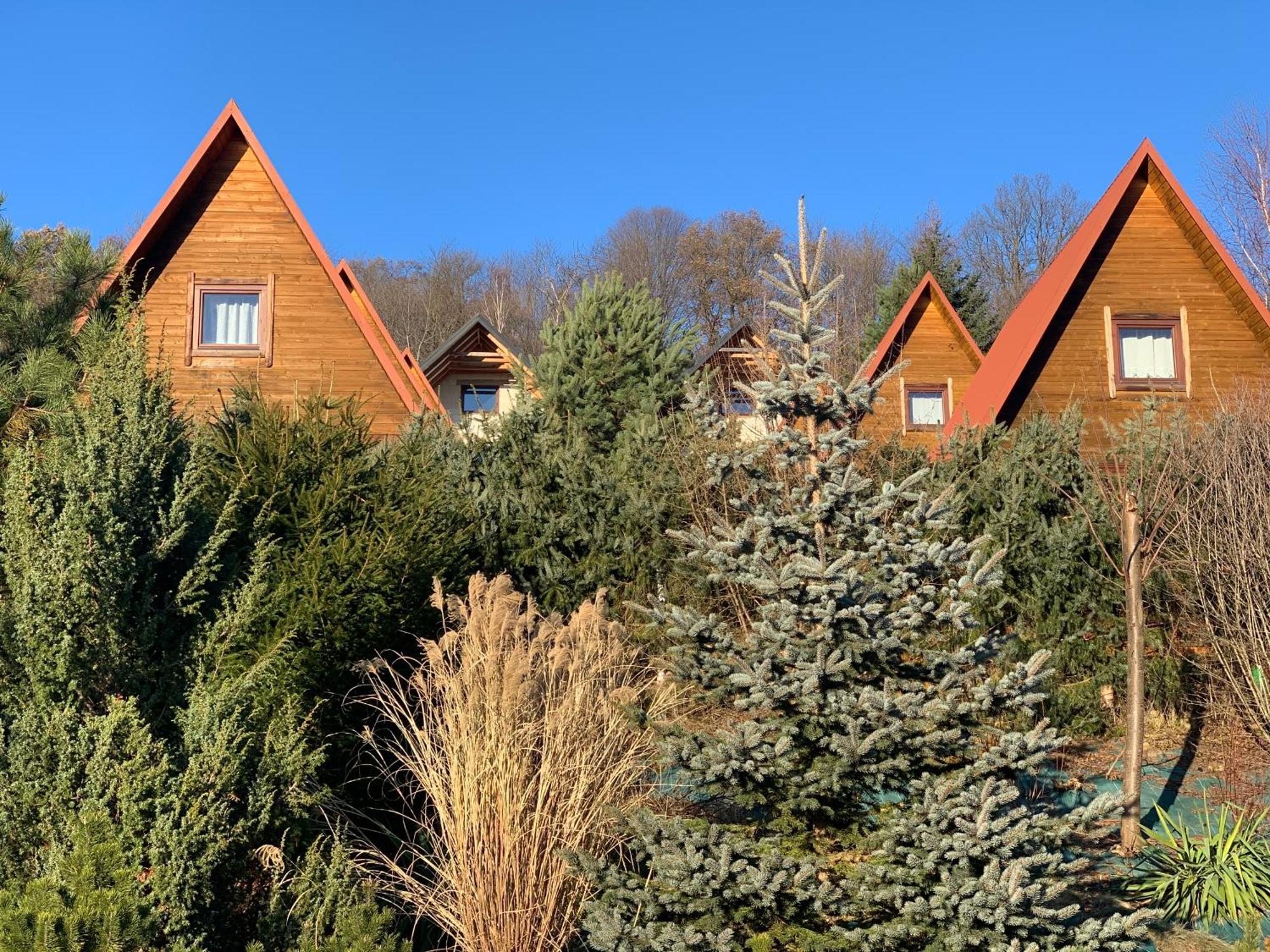 Domki Nad Solina Czarny Kot 509-797-777 외부 사진